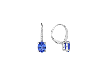 Clip Earring